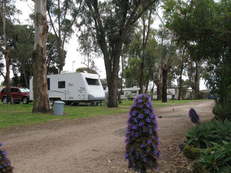 Geelong Caravan Parks Moolap Village